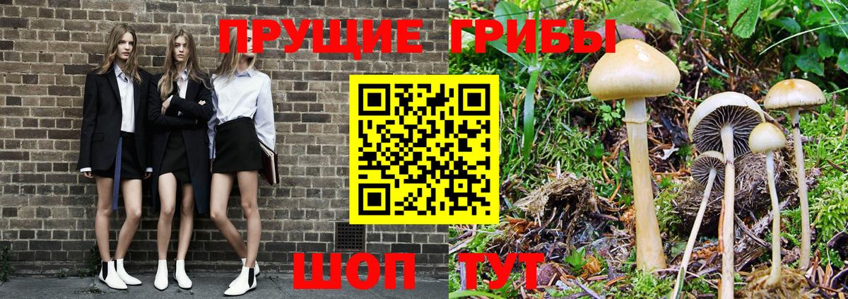 Батайск  Псилоцибиновые грибы Magic Shrooms  дарнет шоп  Вход с VPN 