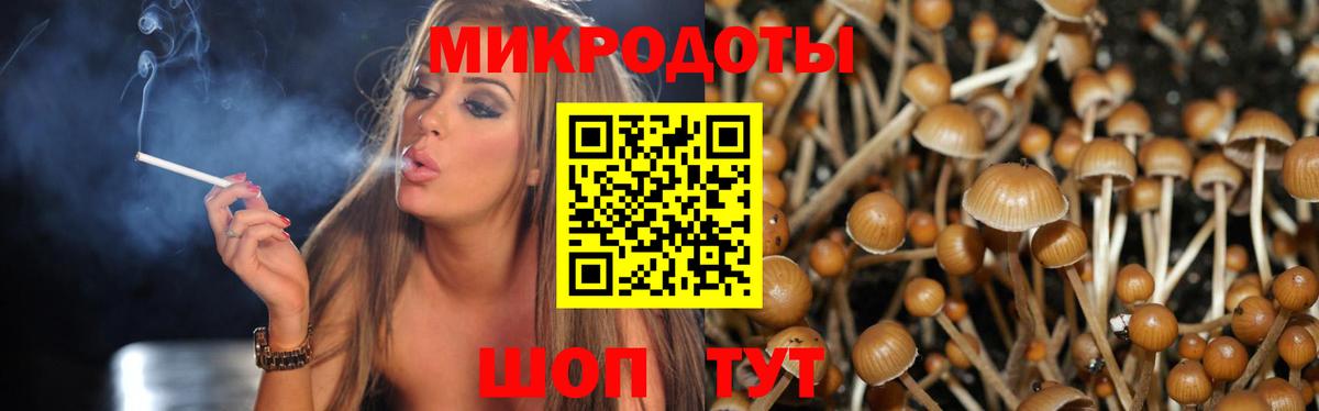 Псилоцибиновые грибы GOLDEN TEACHER Батайск